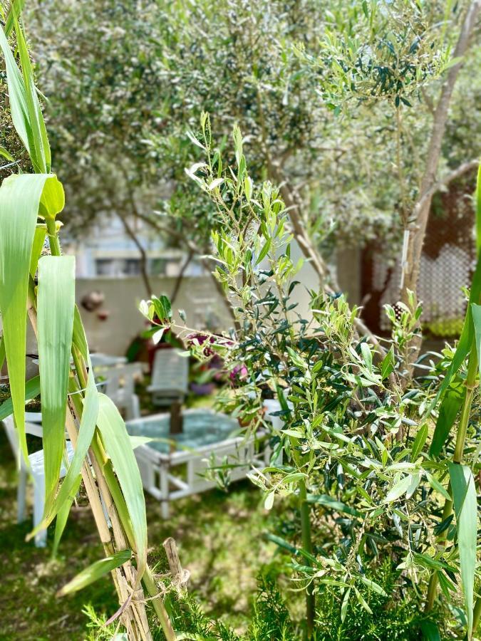 Villa Rocco Rooms Santa Teresa Gallura Buitenkant foto